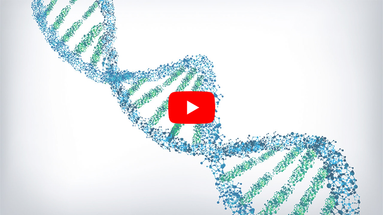 Use your own screenshot.